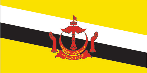 The flag of Brunei