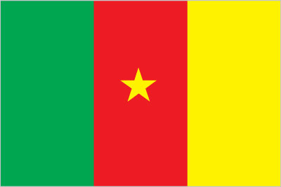 The flag of Cameroon