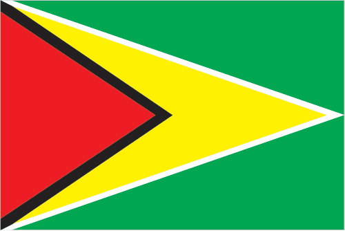 The flag of Guyana