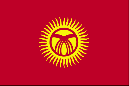 The flag of Kyrgyzstan