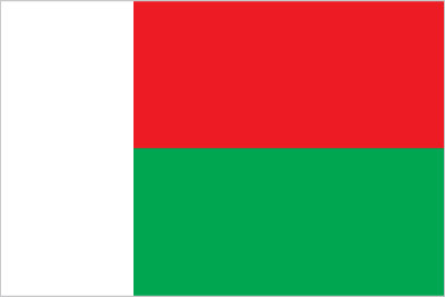 The flag of Madagascar