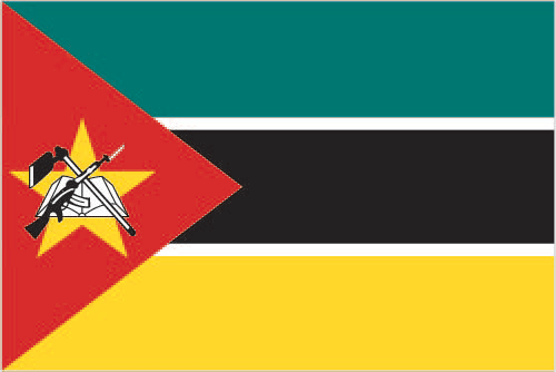 The flag of Mozambique