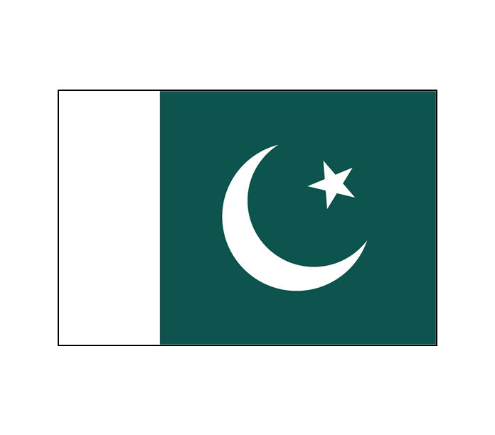 The flag of Pakistan