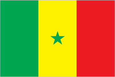 The flag of Senegal