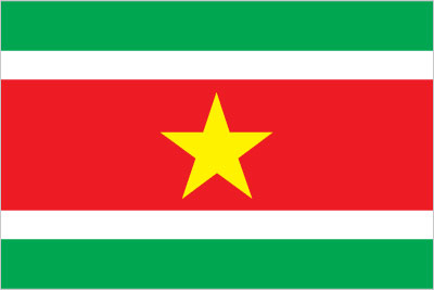 The flag of Suriname