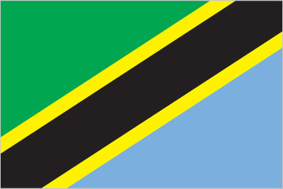 The flag of Tanzania