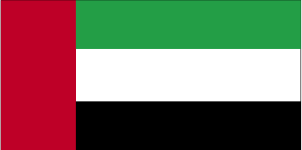 The flag of United Arab Emirates