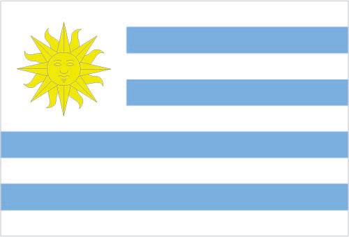 The flag of Uruguay